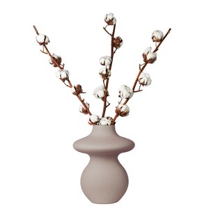 Plant in a Box - Trockenblumen - Cotton Branch - Baumwolle - Set mit 3 Zweigen - Höhe 40-60 cm 