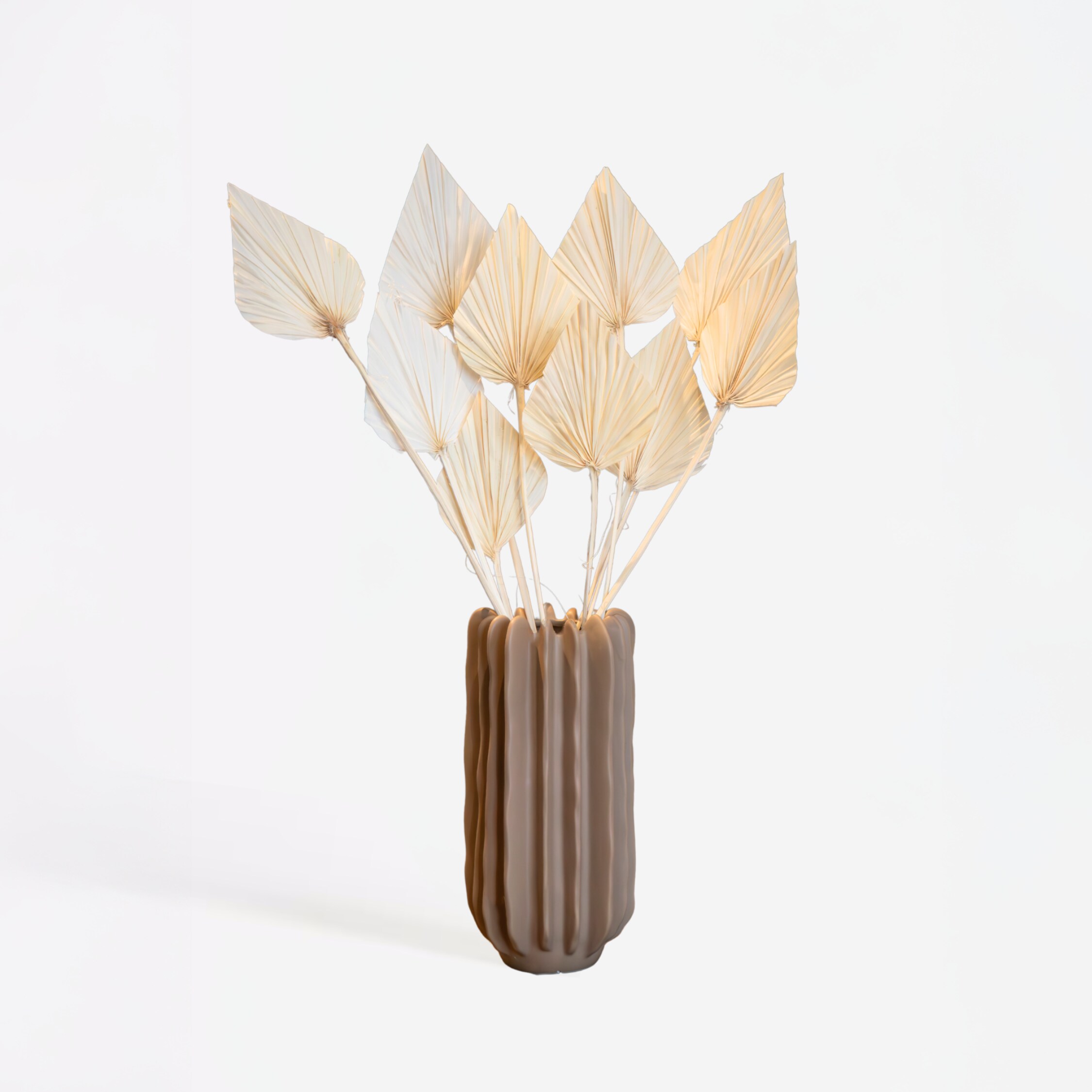 Plant in a Box - Getrocknete Blumen - 10 Stk. - Strau&szlig; 'Palmspear Bleached White' 