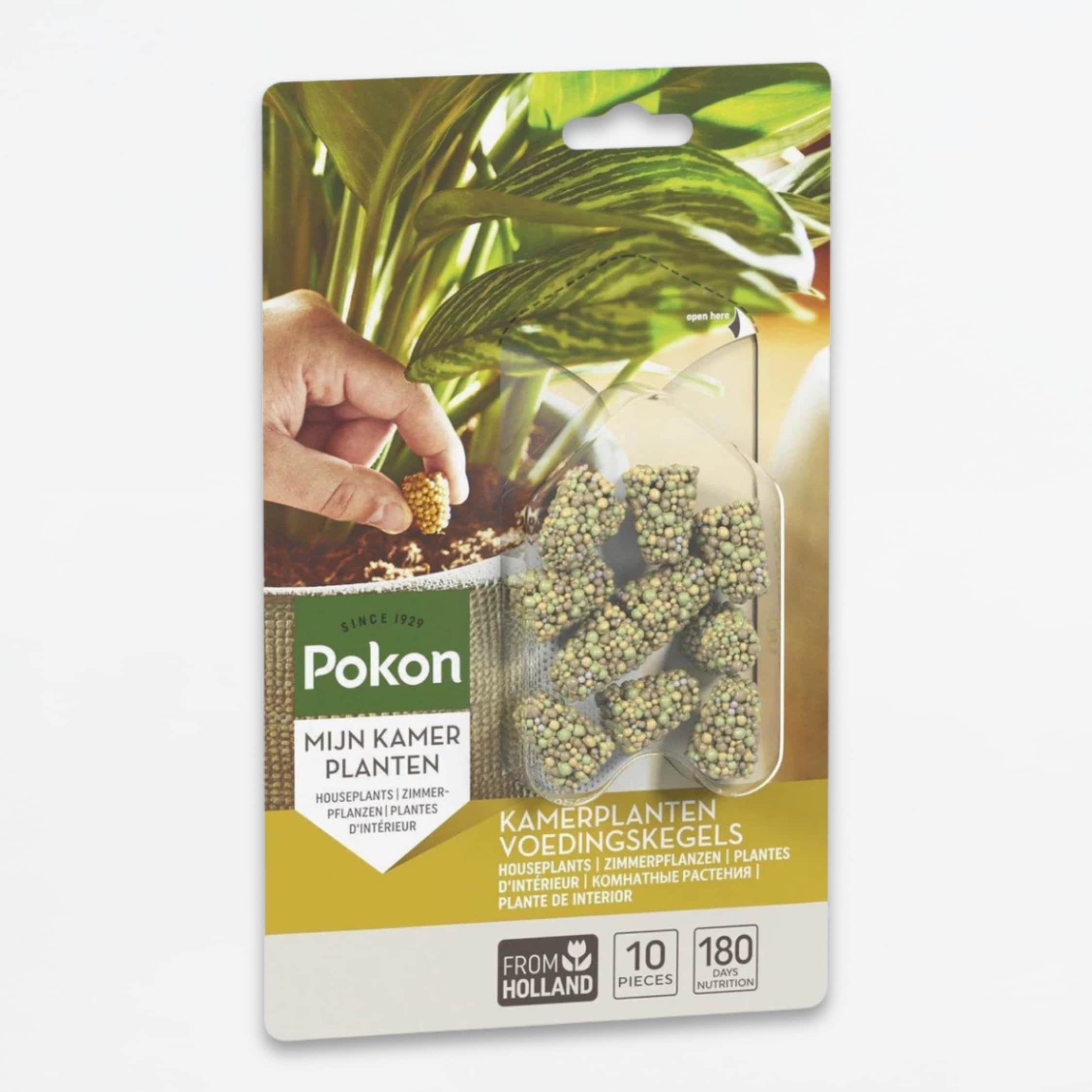 Plant in a Box - Pokon Futterkegel Zimmerpflanzen - 10 St&uuml;ck 