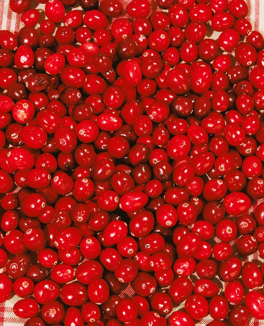 Vaccinium macrocarpon, Cranberry, 20&ndash;30 cm 