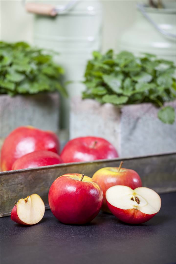 Malus 'Topaz' -S-, Apfelbaum, 40 cm Stammh&ouml;he 