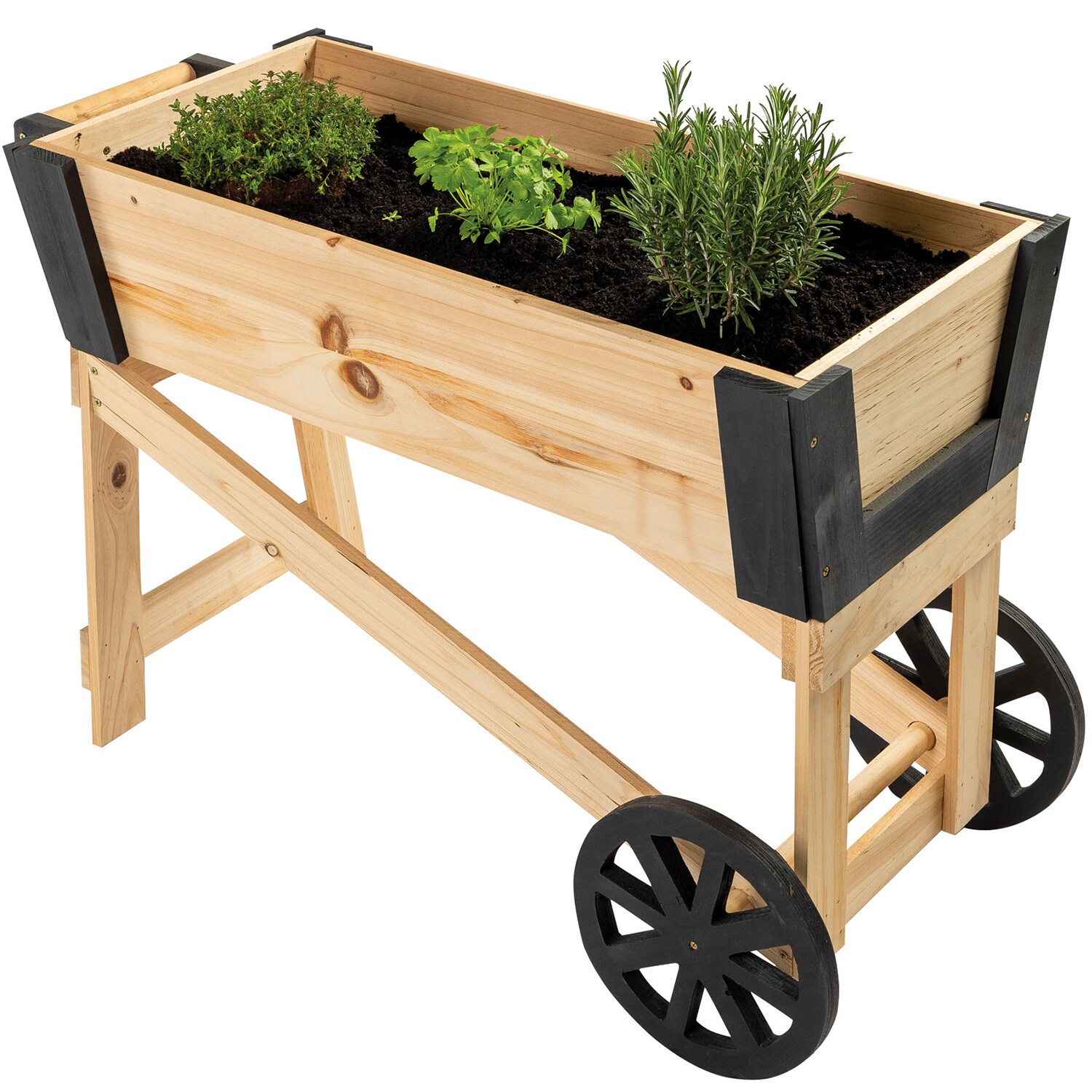 NYVI Pflanzbeet NYVIGreen Mini mit R&auml;dern - Kleines Gartenbeet Perfekt f&uuml;r Jungpflanzen, Gem&uuml;se. Kr&auml;uter & Blumen 