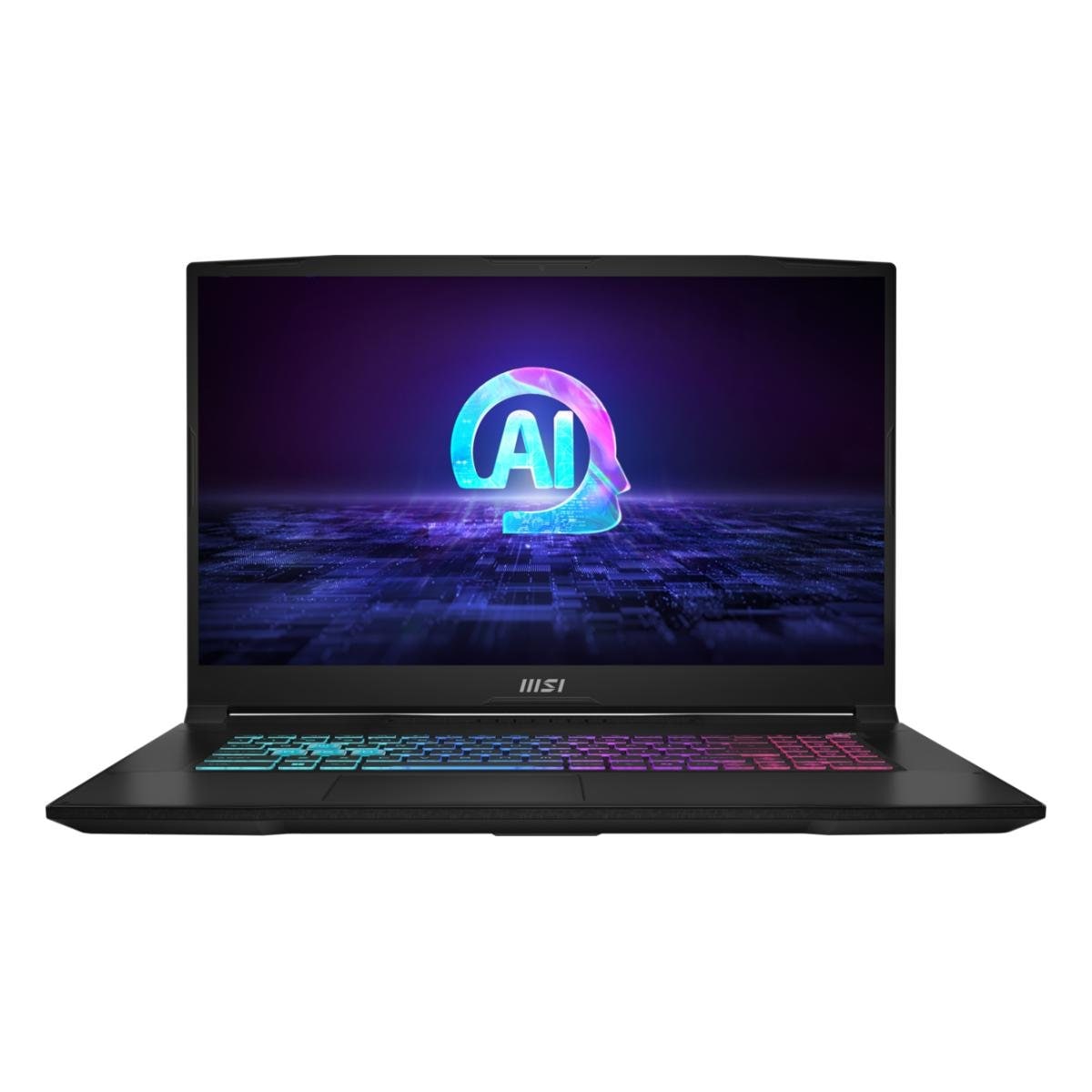 Notebook 17.3" - Ryzen 7 8845HS - RTX 4060 - 32GB RAM - 1 TB NVMe - Windows 11 