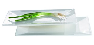 Mäser Plattenset, Porzellan TRENDY LINE Elfenbein 