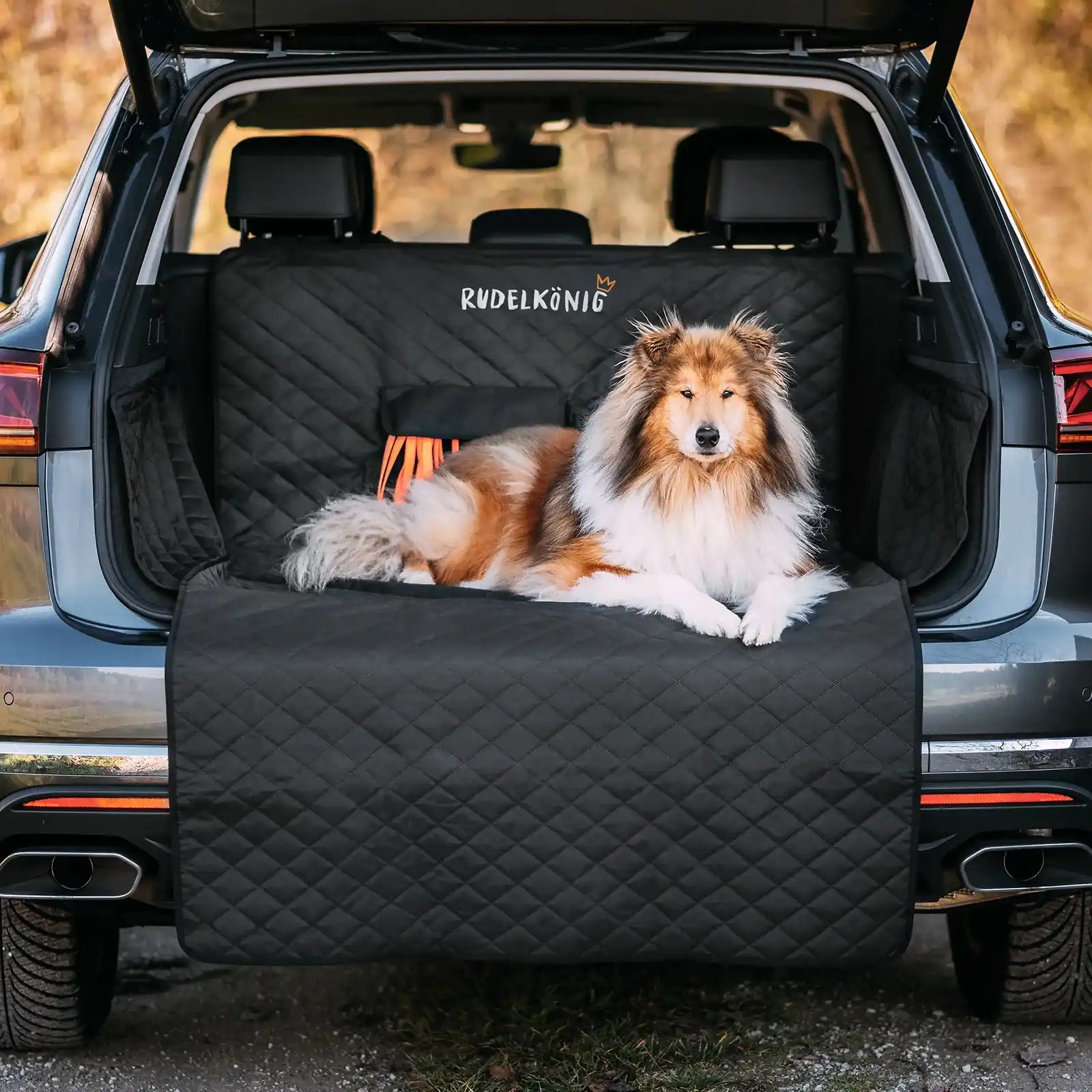 Rudelk&ouml;nig Kofferraumschutz basic Autoschondecke Hundedecke mit Ladekantenschutz wasserfest robust Auto 