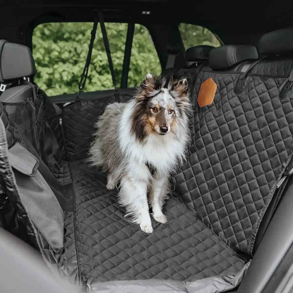 Rudelk&ouml;nig Autoschondecke gesteppt in schwarz Hundedecke R&uuml;cksitzschutz Hund Schutzdecke KFZ wasserfest rutschfest 