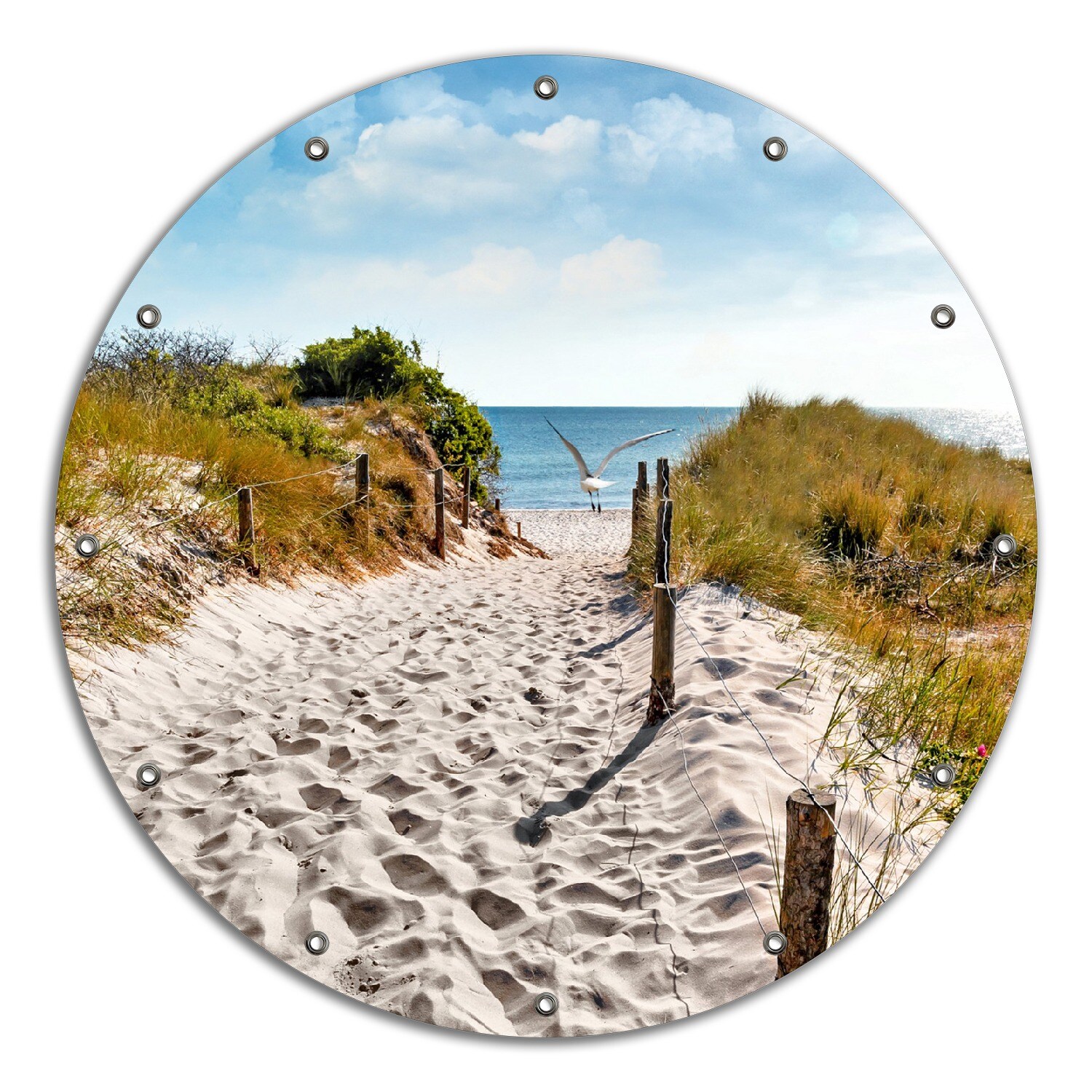 Gartenposter ca. 60 x 90 cm Möwen auf dem Weg zum Strand