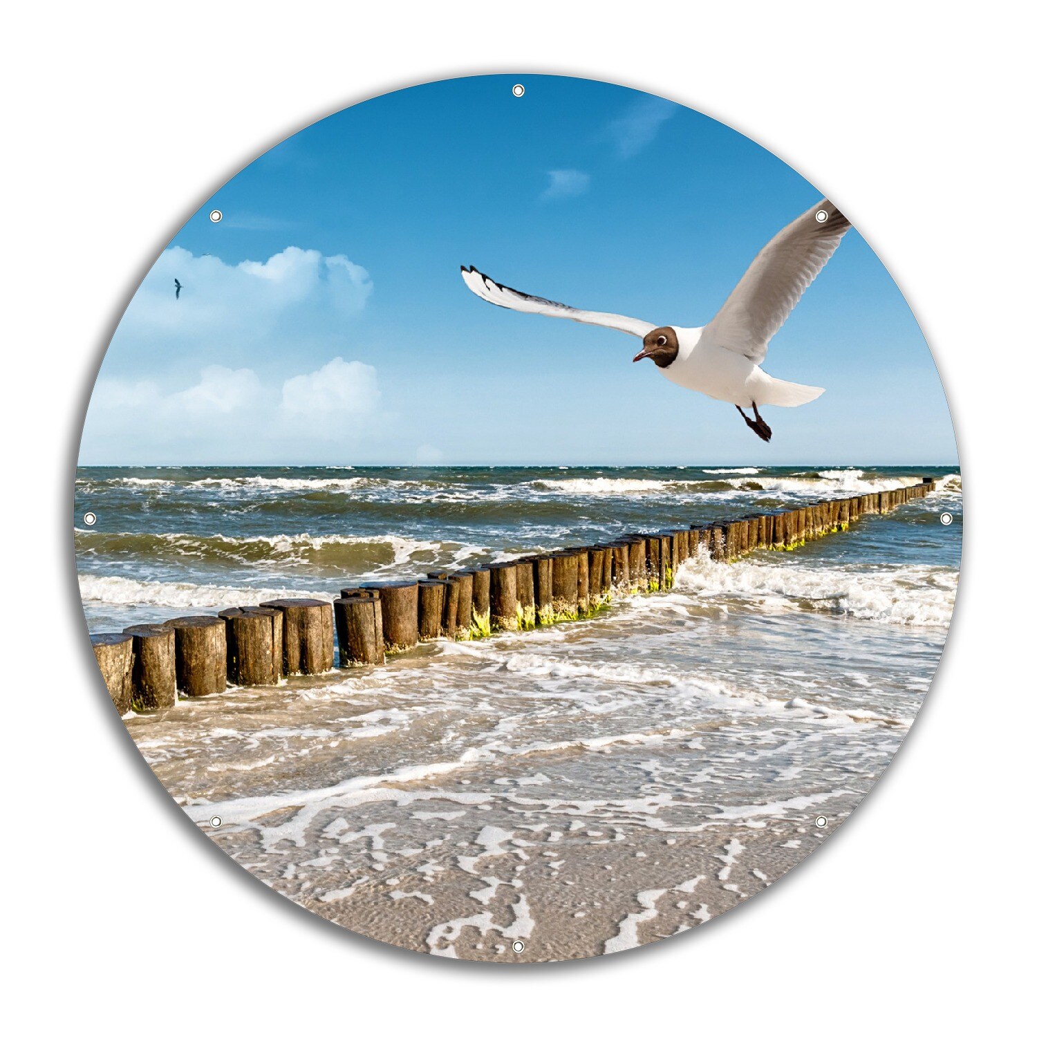 Gartenposter ca. 60 x 90 cm Fliegende Möwe am Strand