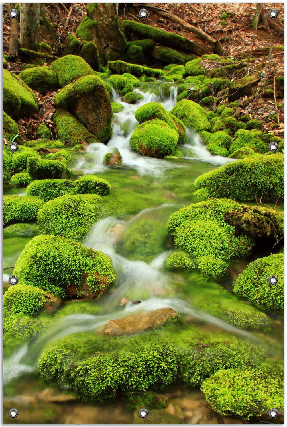 Gartenposter ca. 60 x 90 cm Moosiger Bach