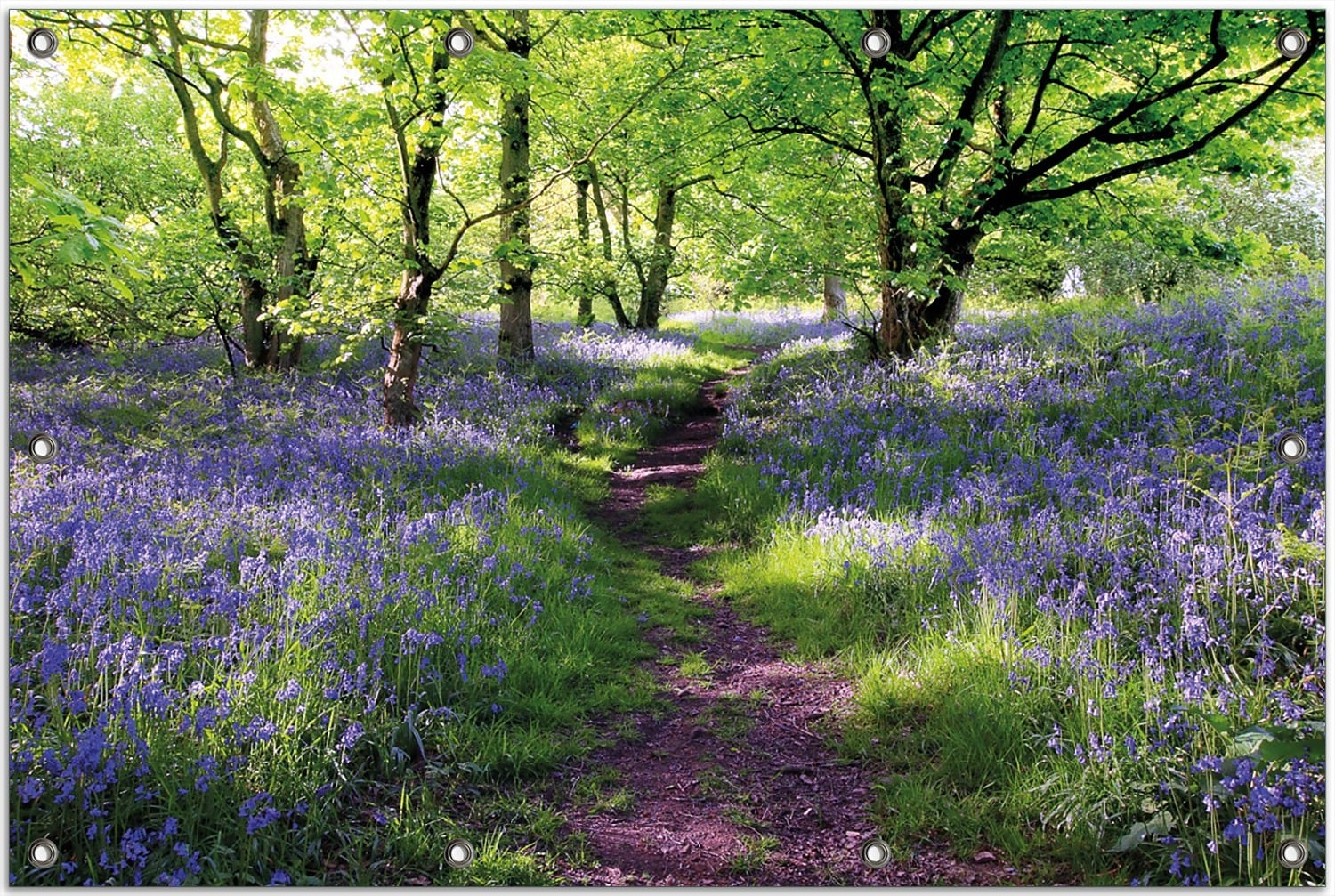 Wallario Gartenposter ca. 80 x 120 cm Blaues Hasengl&ouml;ckchen im Wald 