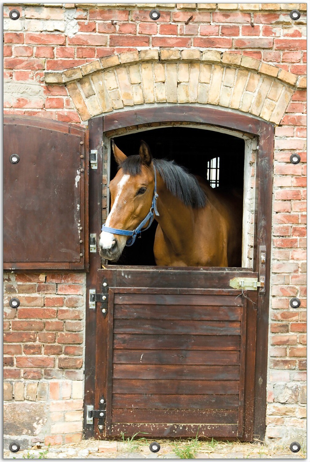 Gartenposter ca. 60 x 90 cm Pferd im Stall