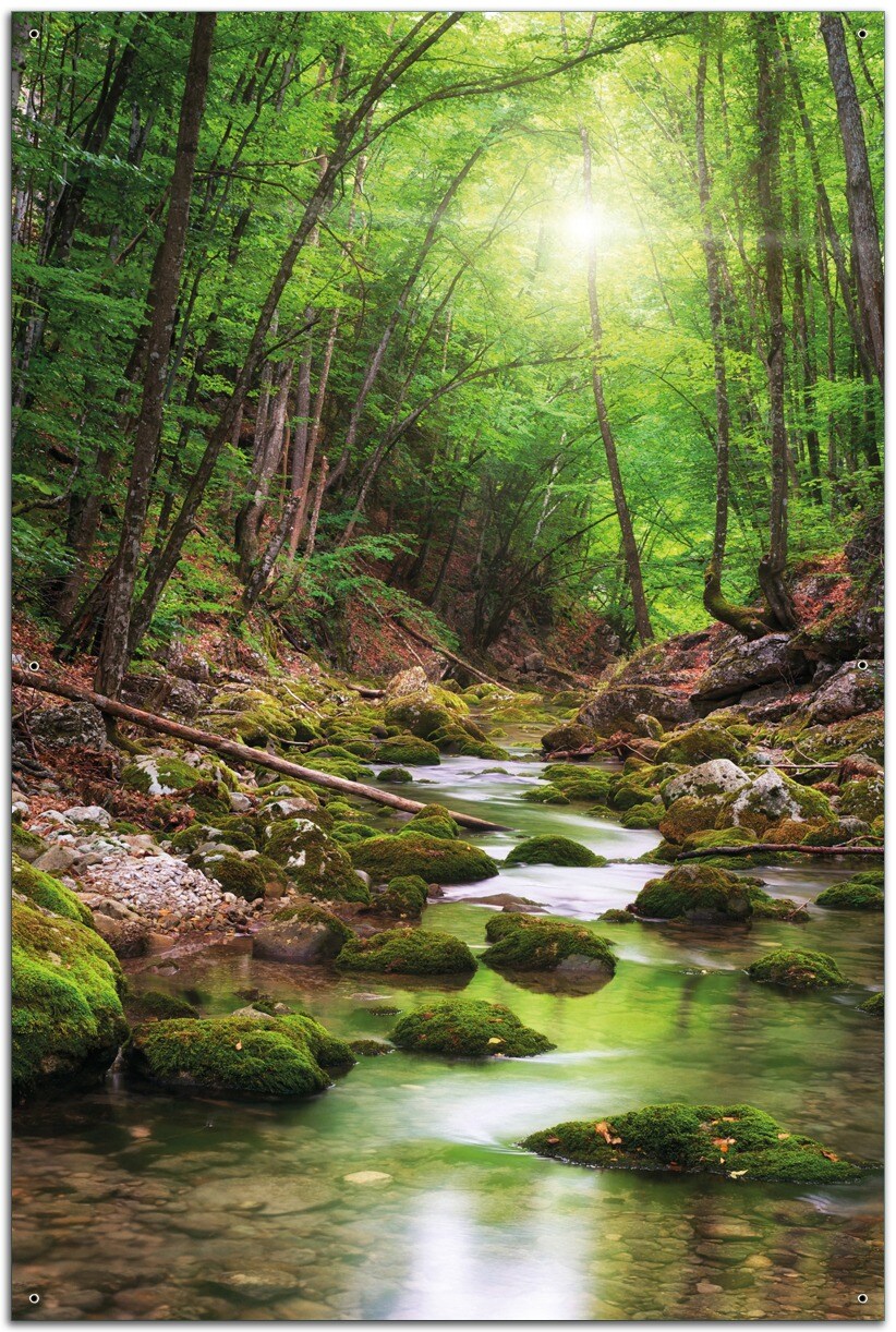 Gartenposter ca. 60 x 90 cm Fluss im Wald