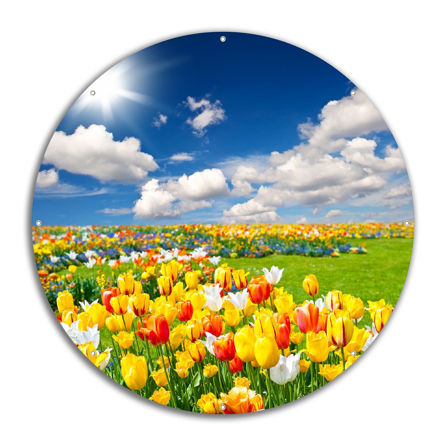 Gartenposter ca. 60 x 90 cm Tulpenwiese unter blauem Himmel