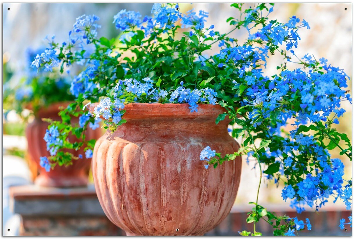 Gartenposter ca. 60 x 90 cm Blaue Blumen in einer Steinvase