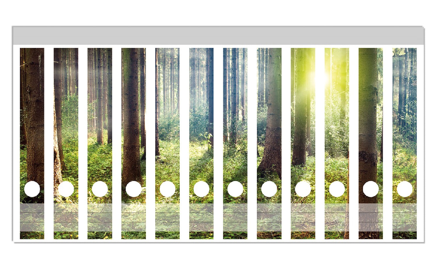 Wallario Ordnerr&uuml;cken Sticker 8 St&uuml;ck Sonnenuntergang im Wald zwischen den B&auml;umen 