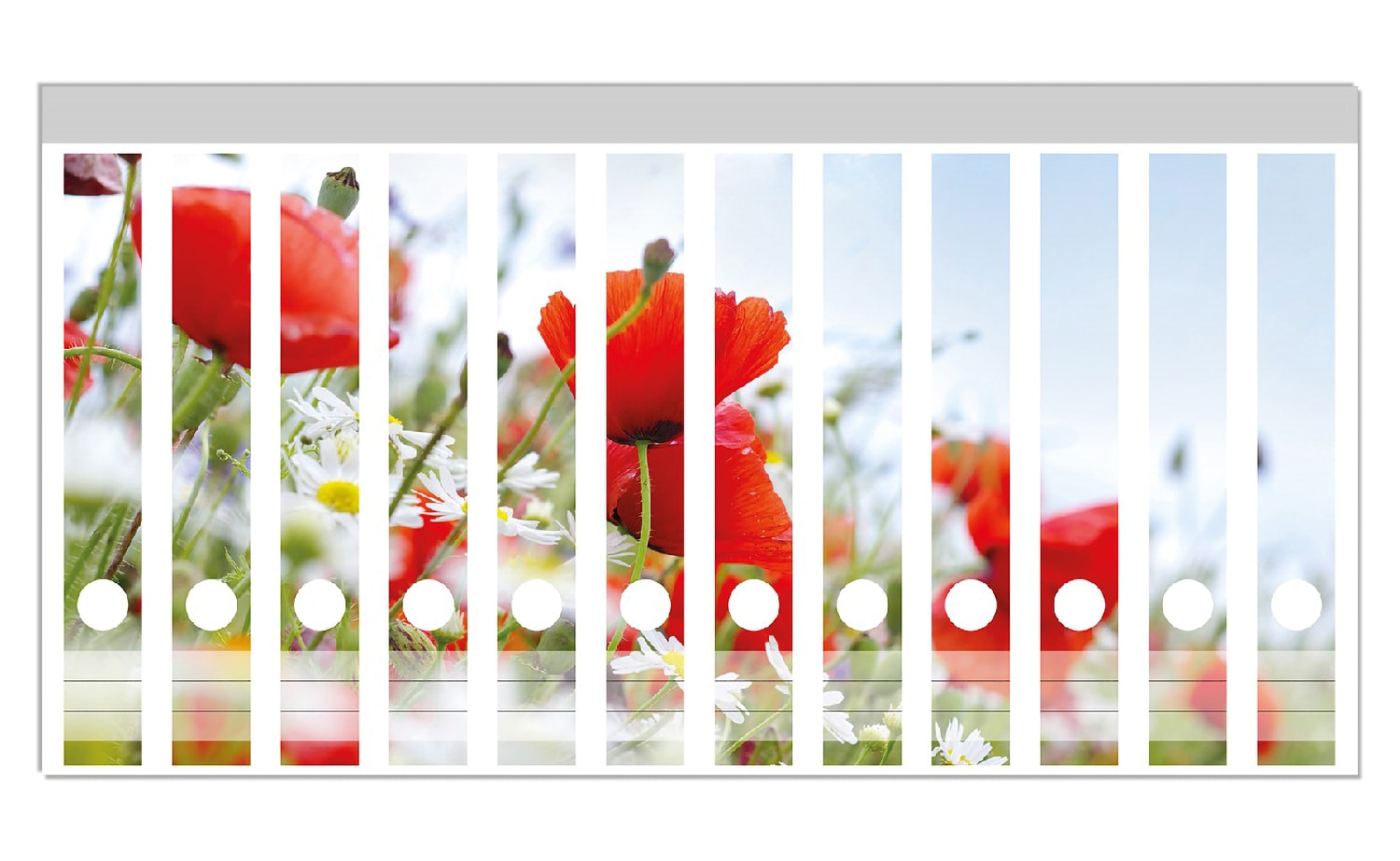 Wallario Ordnerr&uuml;cken Sticker 12 St&uuml;ck Mohnblumen unter blauem Himmel 