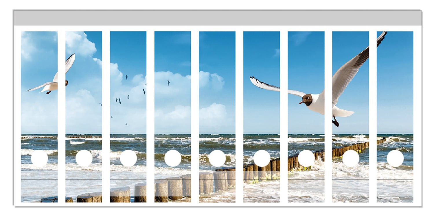 Wallario Ordnerr&uuml;cken Sticker 6 St&uuml;ck Fliegende M&ouml;we am Strand 