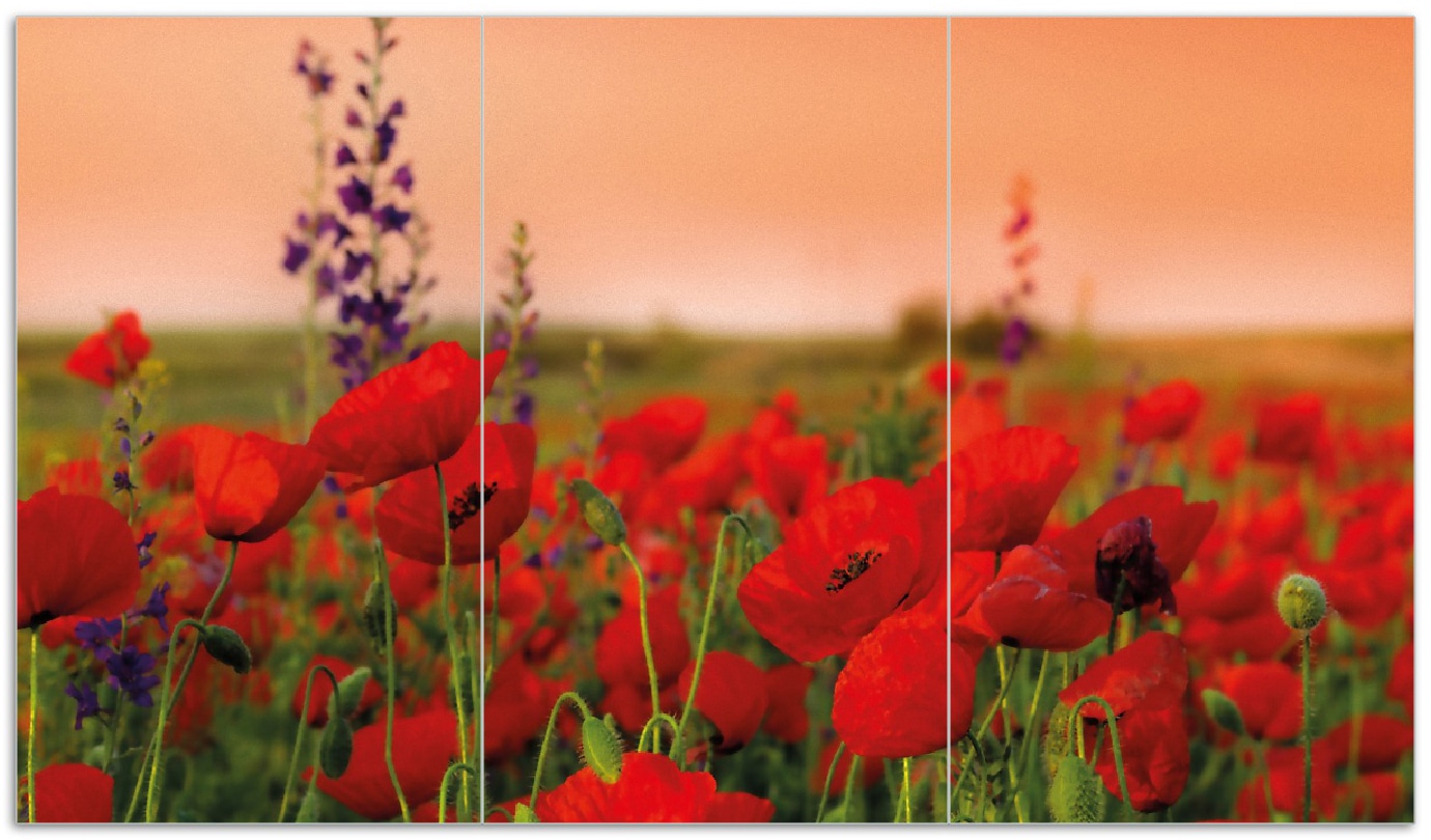 Wallario Herdabdeckplatte 60 x 52 cm (BxH), 1-teilig Mohnblumen auf dem Feld 