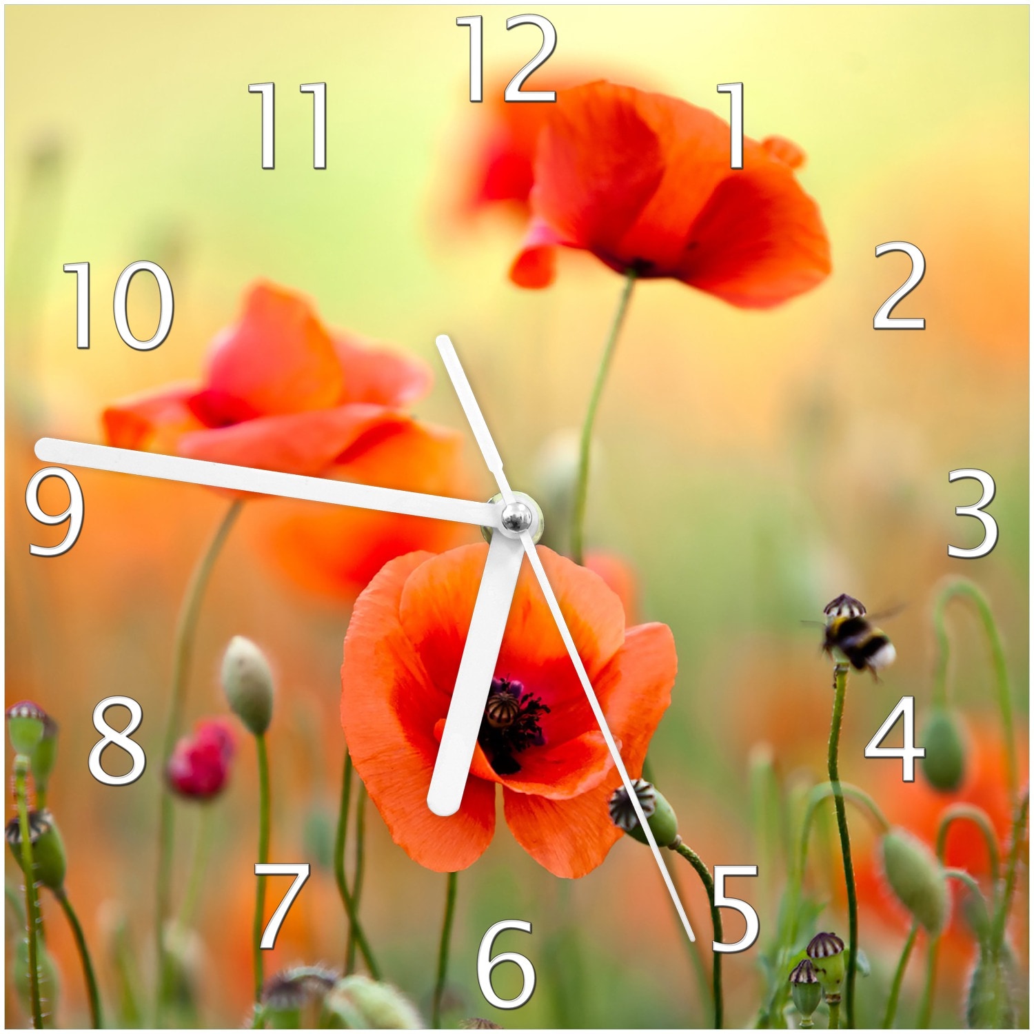 Wallario Uhr 30 x 30 cm, wei&szlig;e Zeiger Mohnblumenbl&uuml;ten 