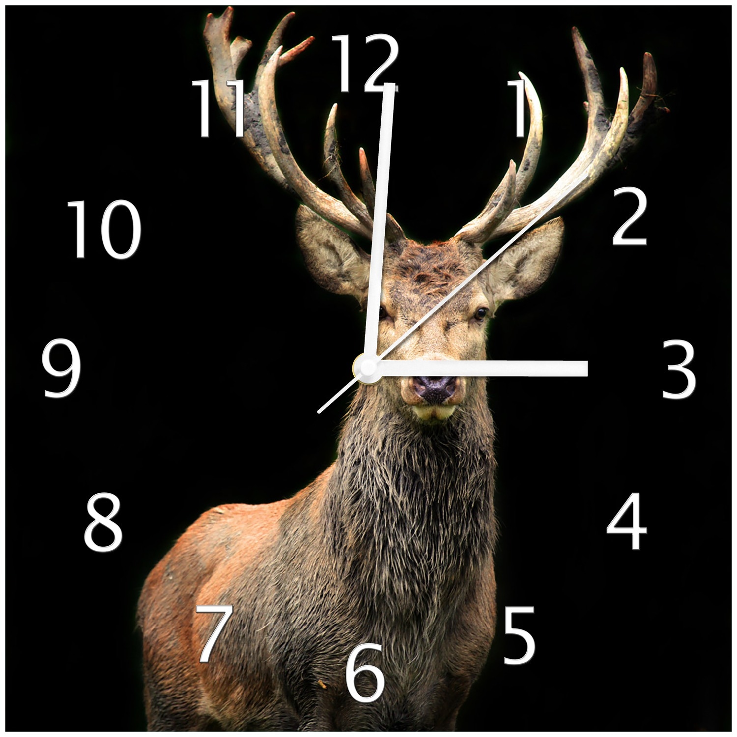 Wallario Uhr 30 x 30 cm, wei&szlig;e Zeiger Stattlicher Rothirsch 
