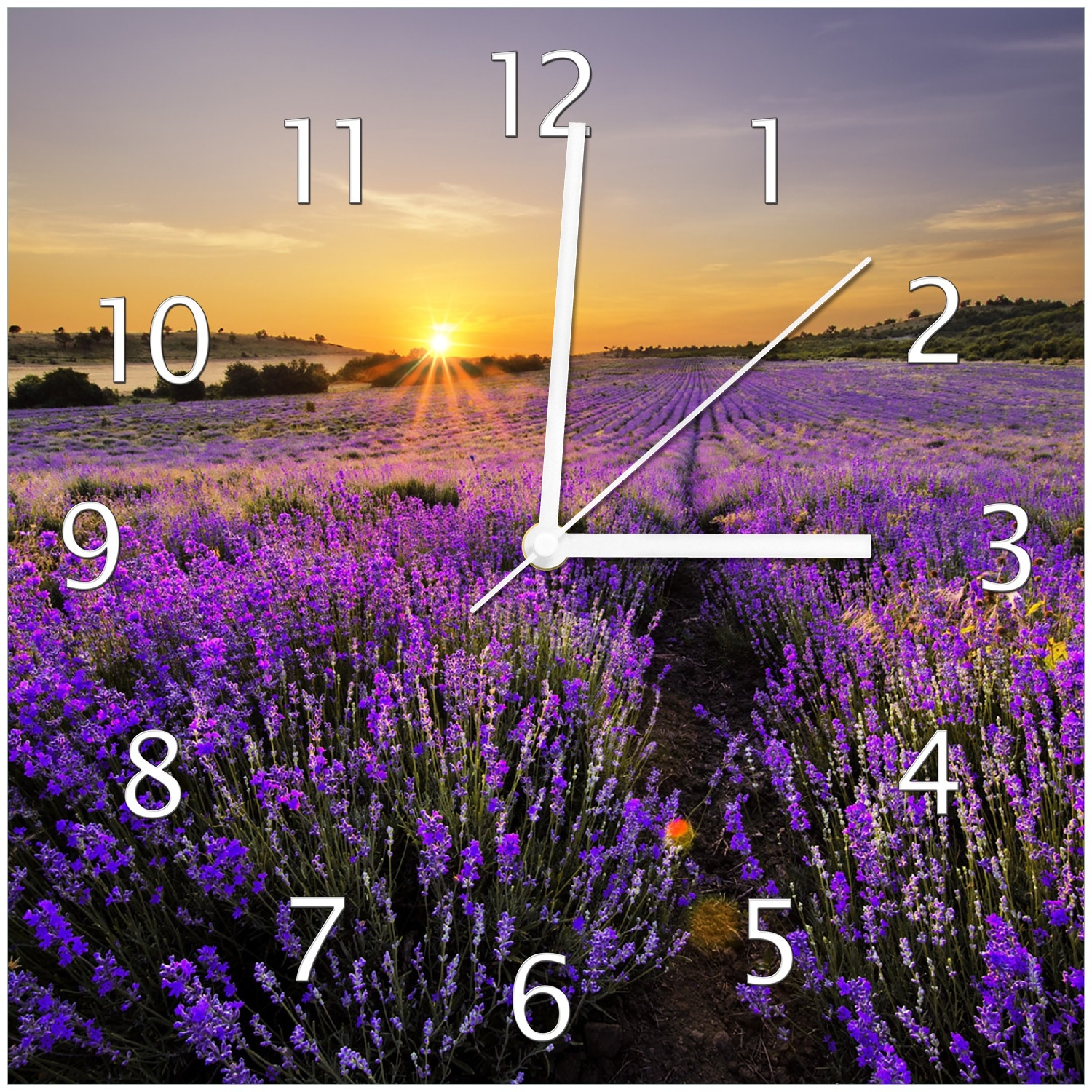 Wallario Uhr 30 x 30 cm, wei&szlig;e Zeiger Sonnenuntergang &uuml;ber dem Lavendel 