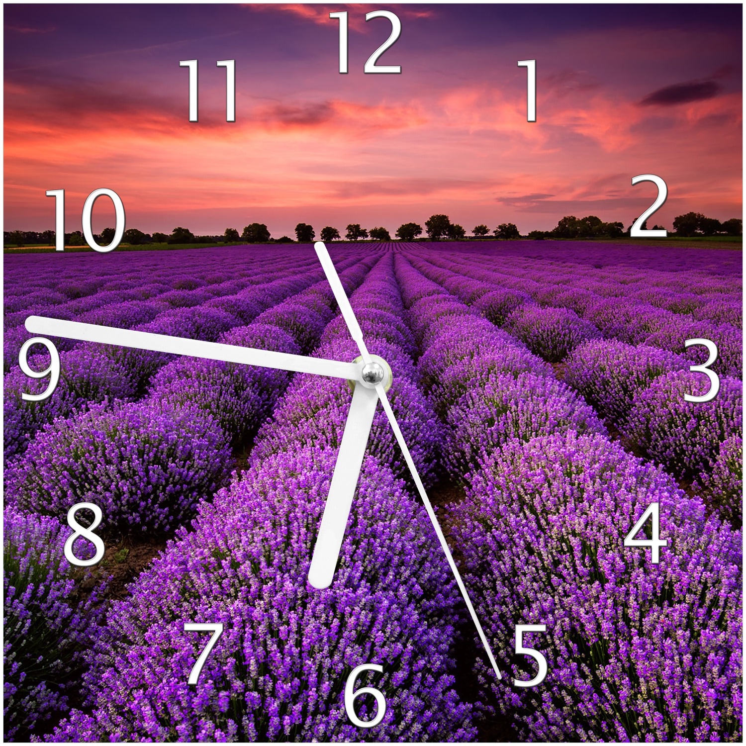 Wallario Uhr 30 x 30 cm, wei&szlig;e Zeiger Lavendelfeld unter rotem Himmel 