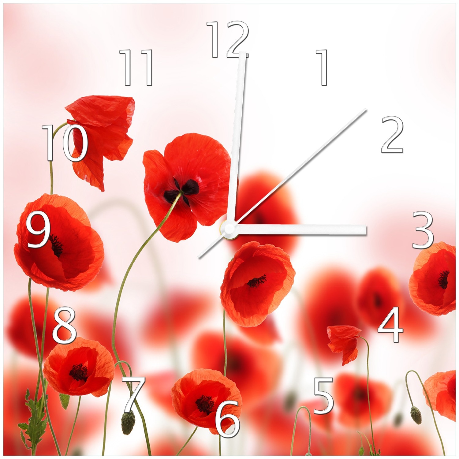 Wallario Uhr 30 x 30 cm, schwarze Zeiger Leuchtende Mohnblumen - Rote Mohnblumenbl&uuml;ten 