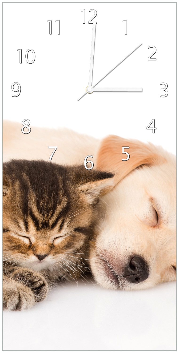 Wallario Uhr 30 x 30 cm, schwarze Zeiger Katze und Hund in Harmonie - Kuschelnde Tiere 