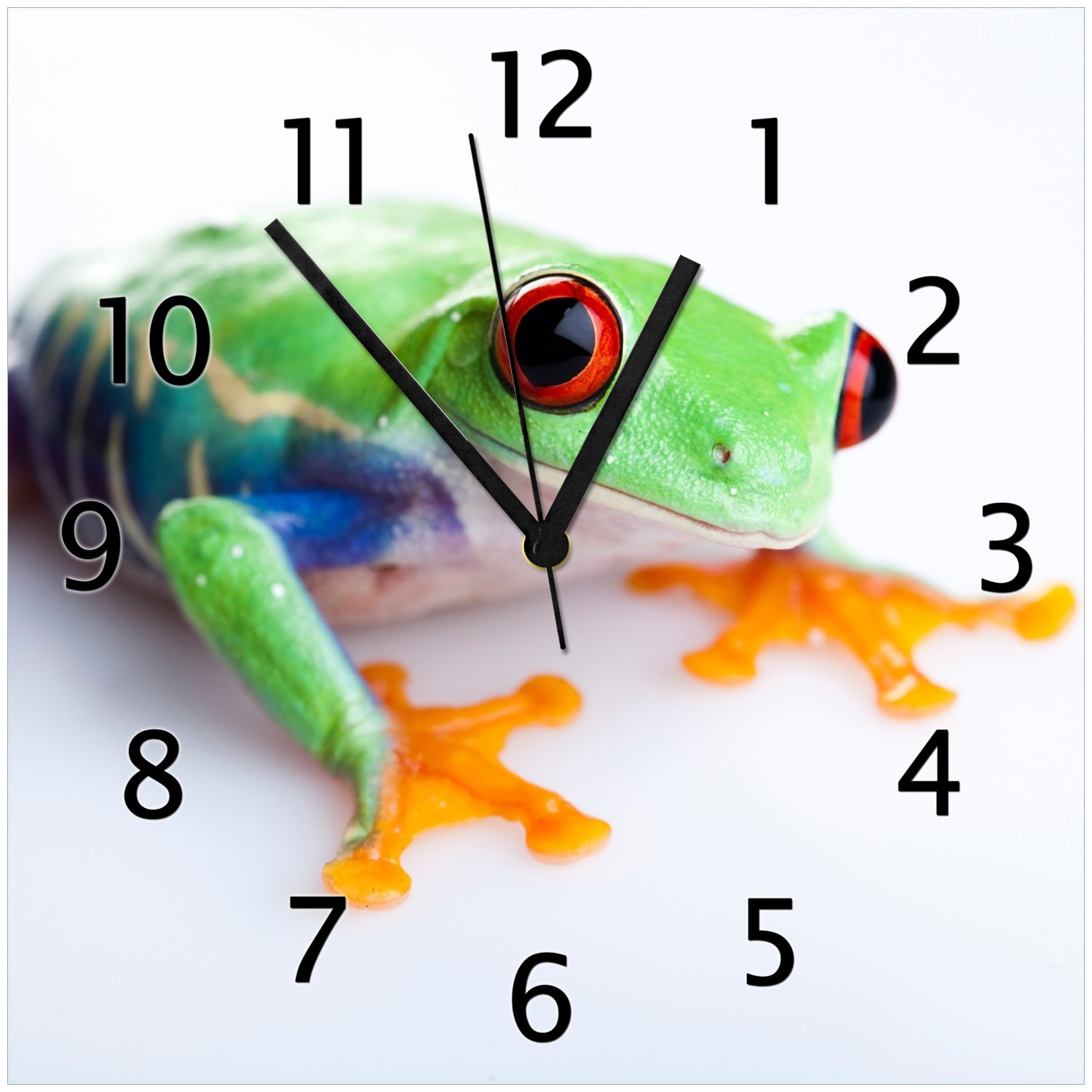 Wallario Uhr 30 x 30 cm, schwarze Zeiger Lustiger Frosch in gr&uuml;n und orange 
