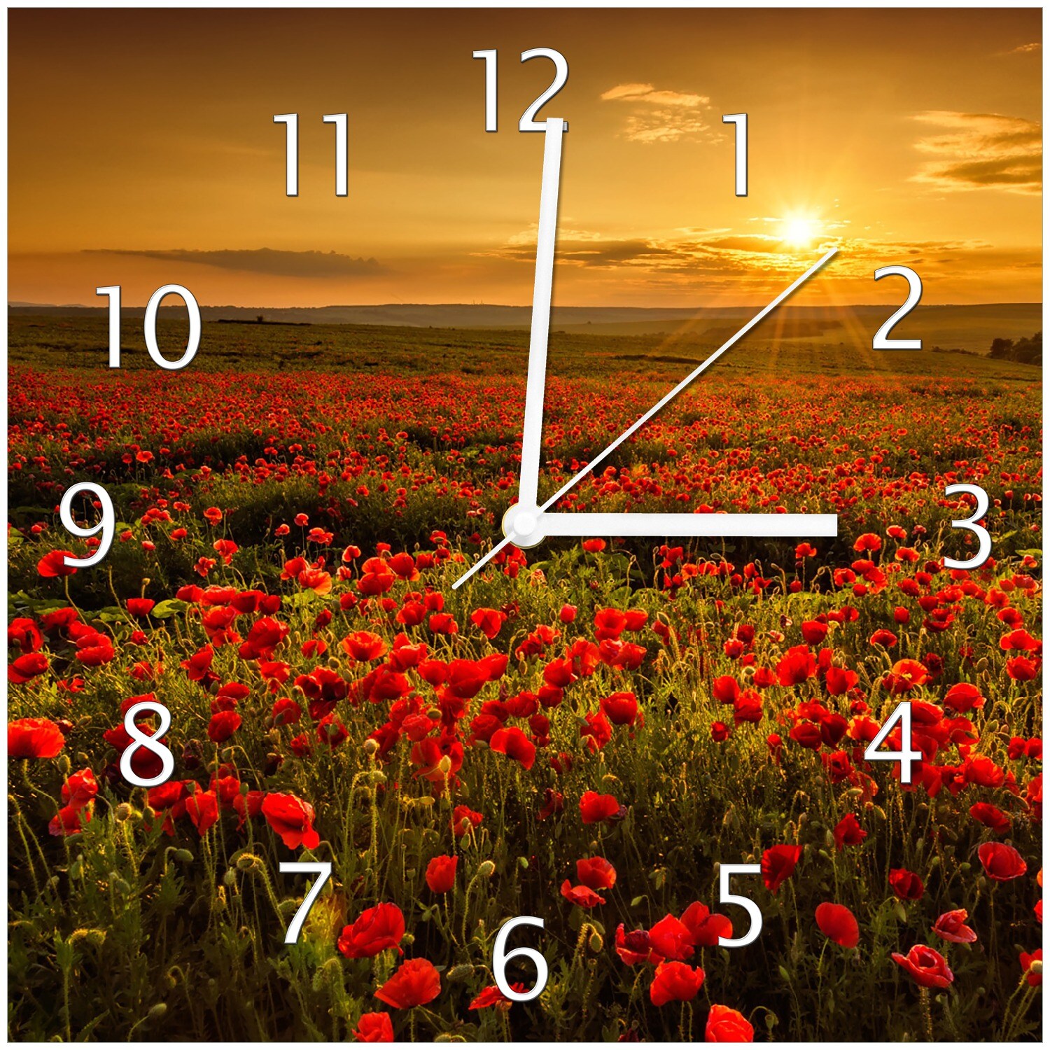Wallario Uhr 20 x 20 cm, weiße Zeiger Mohnblumenwiese bei Sonnenuntergang am Abend