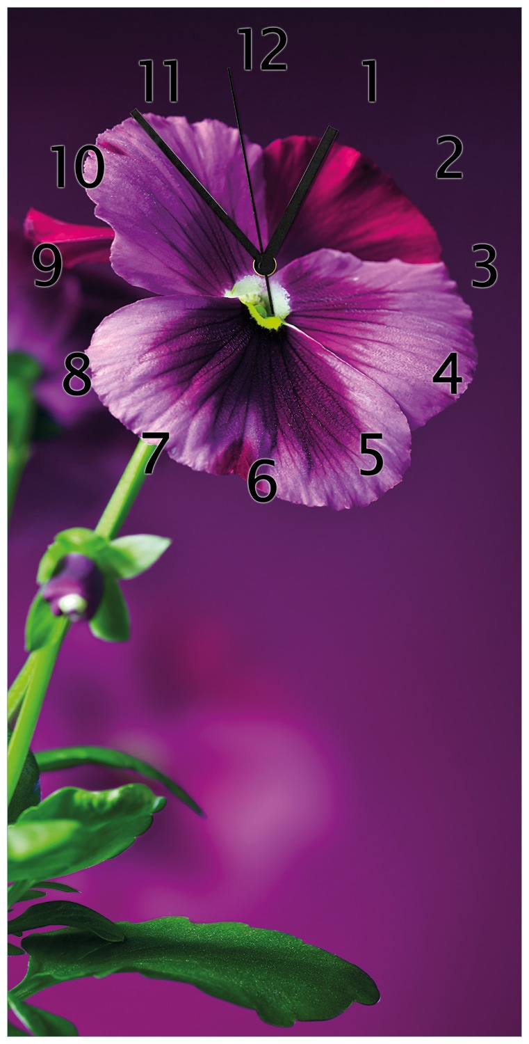 Wallario Uhr 30 x 60 cm, wei&szlig;e Zeiger Lila Stiefm&uuml;tterchen 