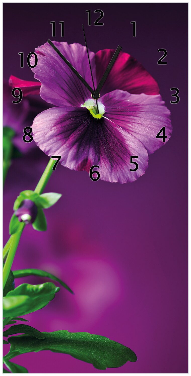 Wallario Uhr 30 x 60 cm, weiße Zeiger Lila Stiefmütterchen