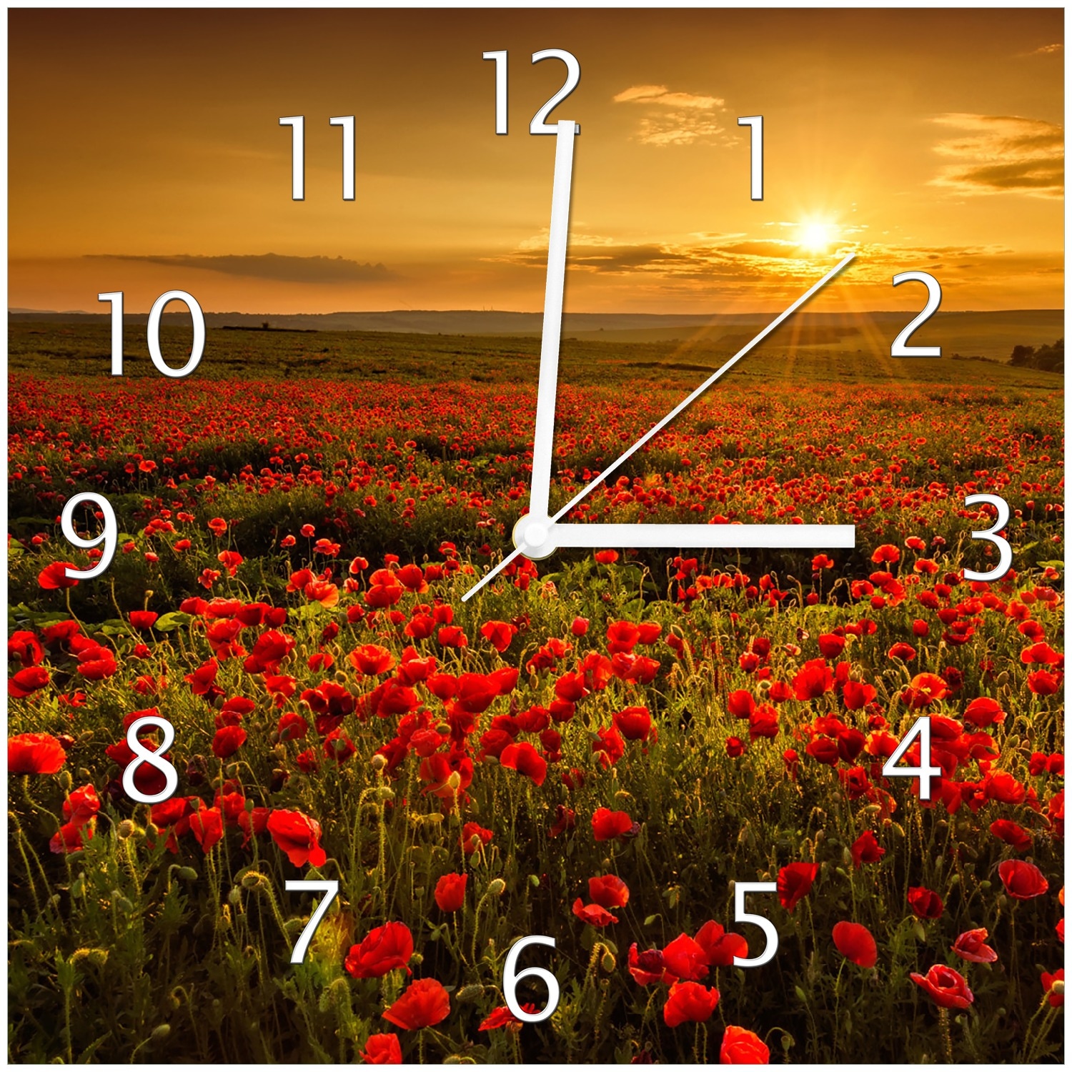 Wallario Uhr 30 x 60 cm, wei&szlig;e Zeiger Mohnblumenwiese bei Sonnenuntergang am Abend 