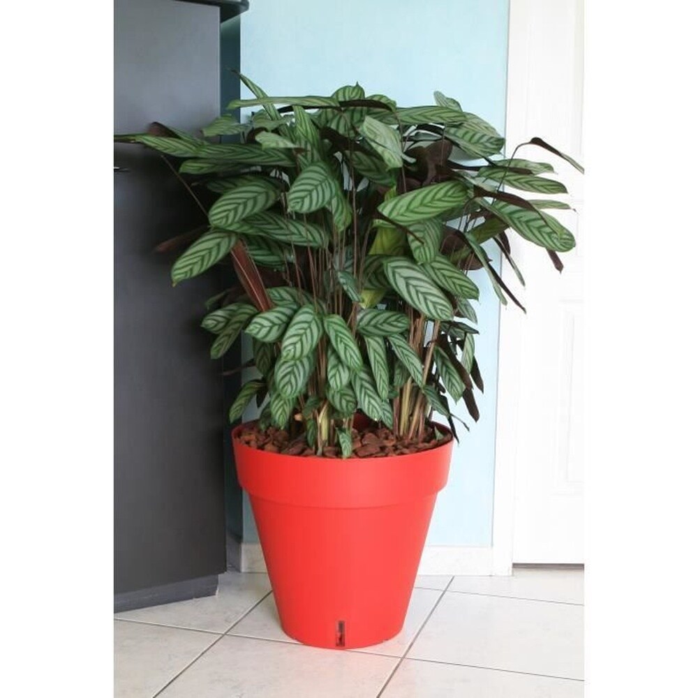 RIVIERA Riviera Loft Blumentopf mit Wasserreservoir &ndash; Rund &ndash; &Oslash; 50 x H 46 cm &ndash; Rot 