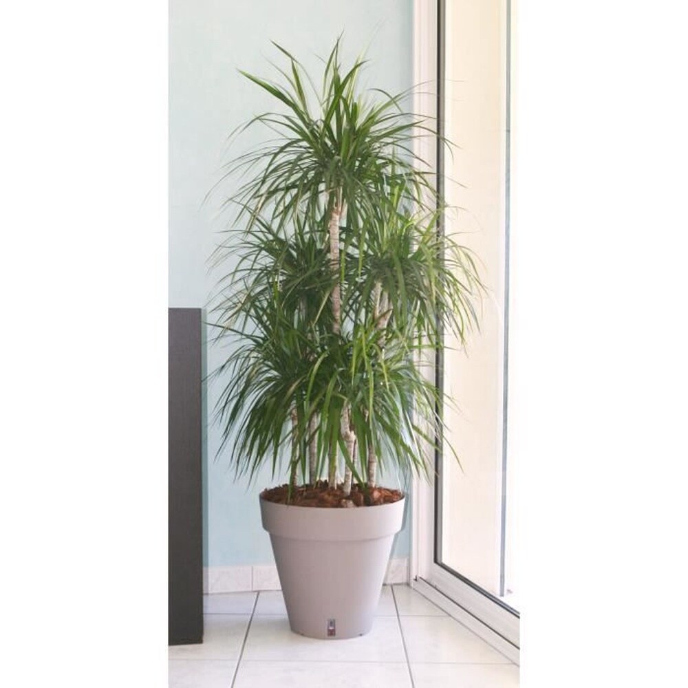RIVIERA Riviera Loft Blumentopf mit Wasserreservoir &ndash; Rund &ndash; &Oslash; 50 x H 46 cm &ndash; Atape 
