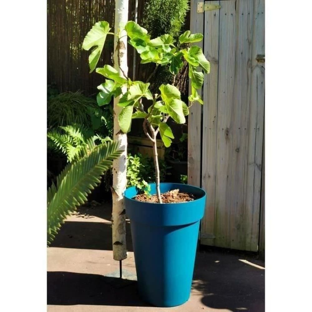 RIVIERA Blumenkasten RIVIERA SOLEILLA &ndash; Kunststoff &ndash; H&ouml;he 53 cm &ndash; Blau 
