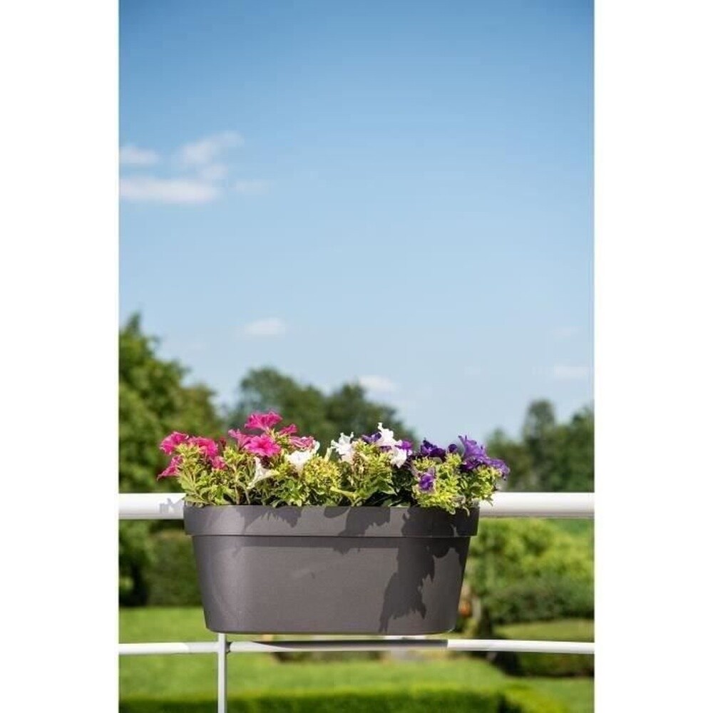 GARDEN ID Pflanzgef mit Haken  GARDEN ID Star  Black-Anth 50 x 21 cm   Einfache Befestigung  Wasserspeicher  recycelt und zu 100 % recycelbar  bei Marktkauf online bestellen