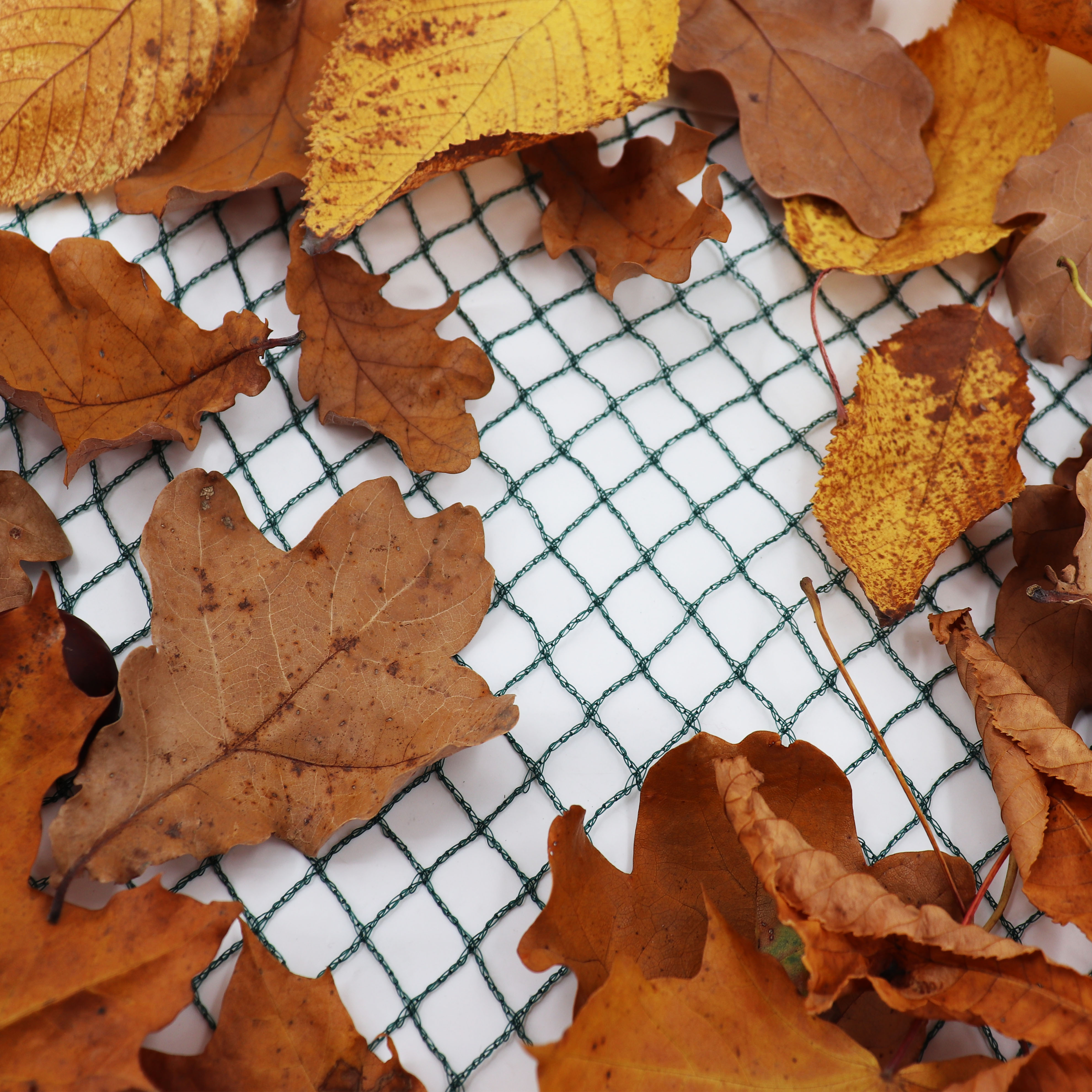 Aquagart Teichnetz 9m x 6m Laubnetz Netz Vogelschutznetz robust 