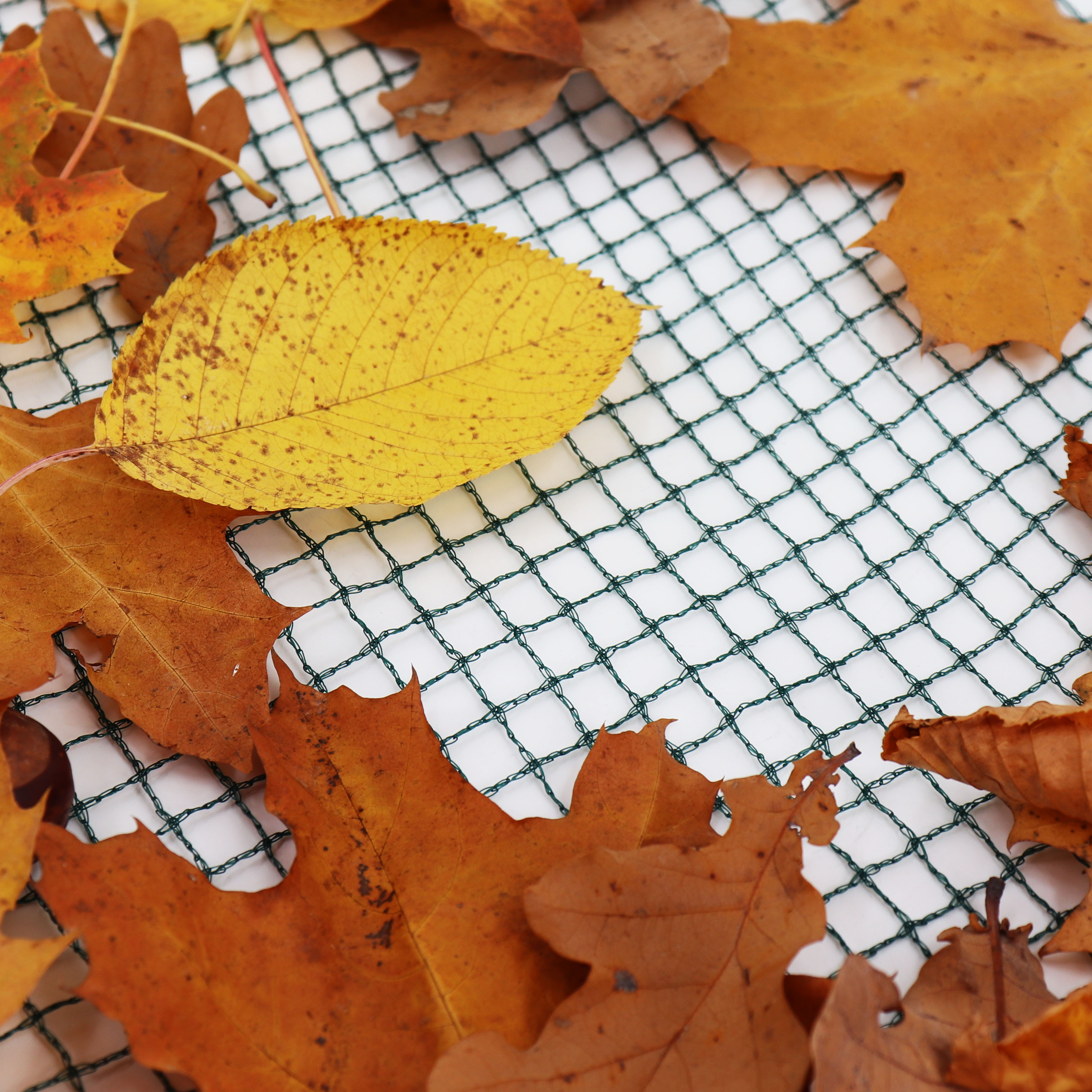 Aquagart Teichnetz 12m x 10m Laubnetz Abdecknetz Silonetz robust 