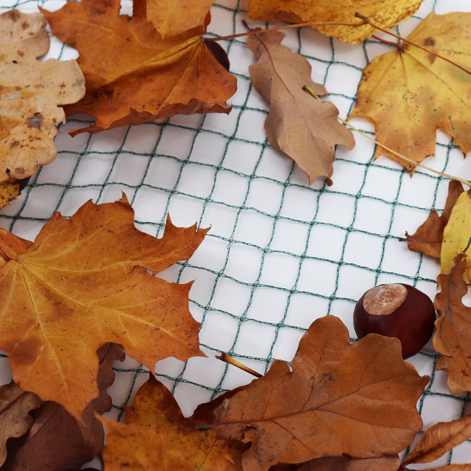 Aquagart Teichnetz 14m x 10m Laubnetz Silonetz Laubschutznetz Vogelschutznetz Teichschutz