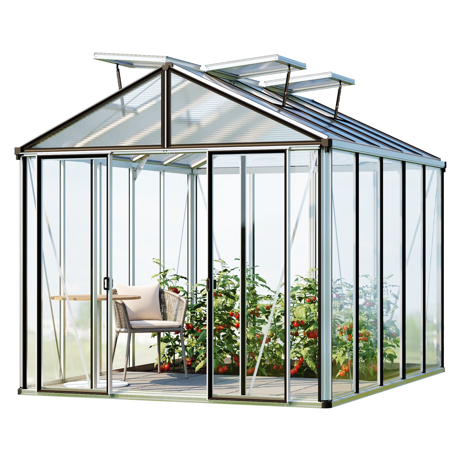 GFP Gewächshaus Glasgewächshaus HERA 263 x 325 cm Aluminium-Natur