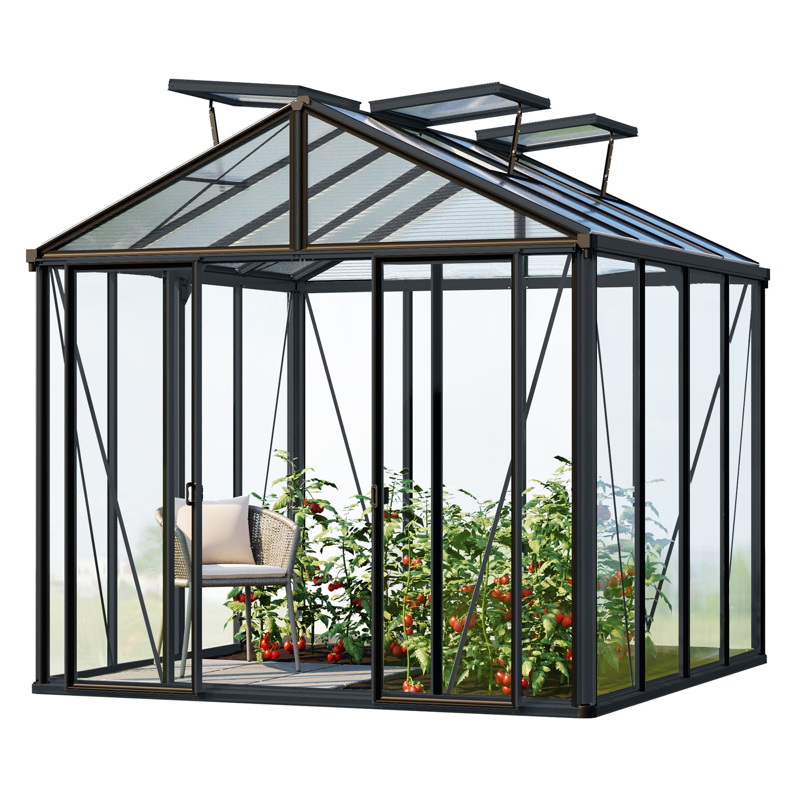 GFP Gew&auml;chshaus Glasgew&auml;chshaus HERA mit Aluminium-Rahmen 263 x 575 cm Aluminium-Natur 