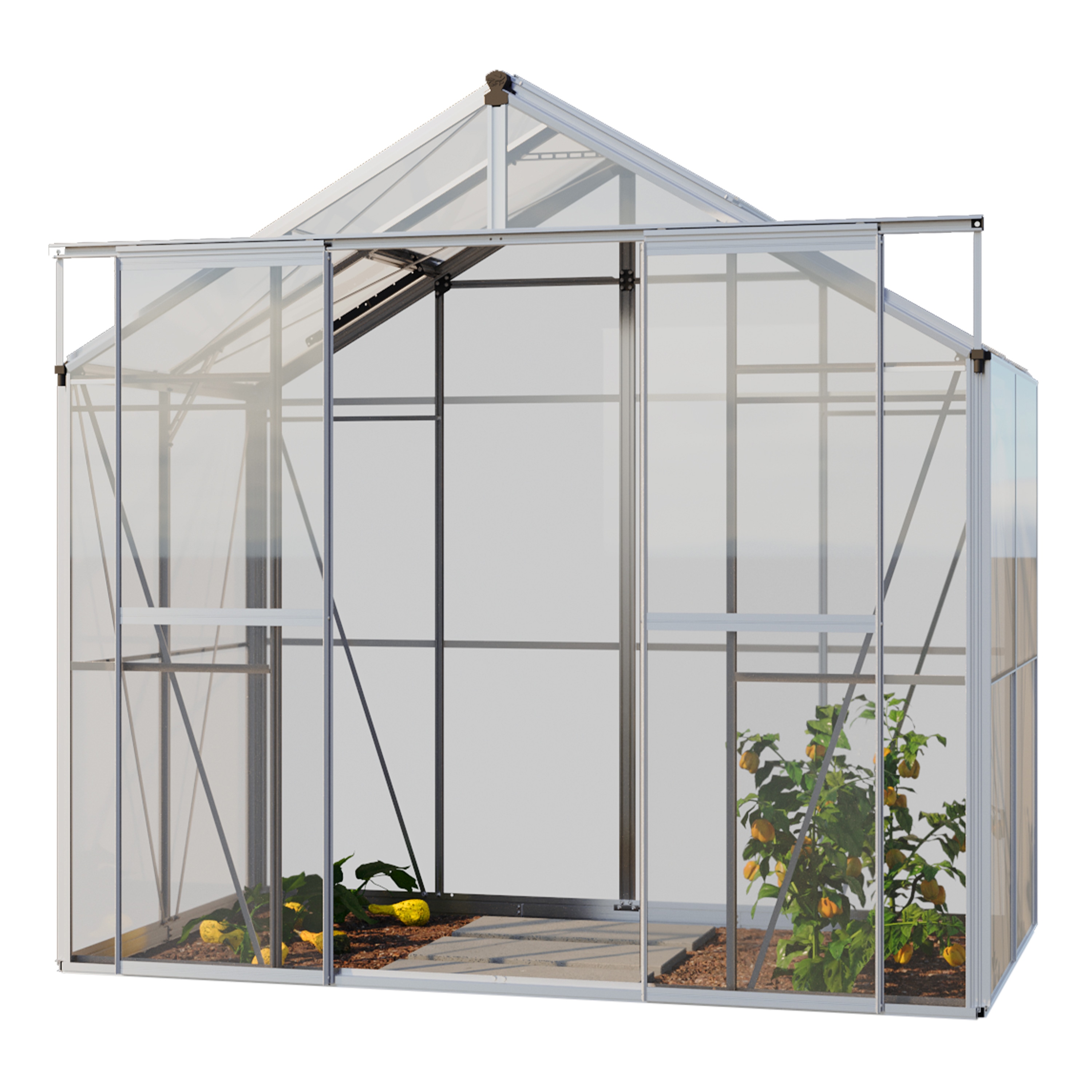 GFP Gew&auml;chshaus Glasgew&auml;chshaus mit Aluminium-Rahmen 222 x 259 x 211 cm 