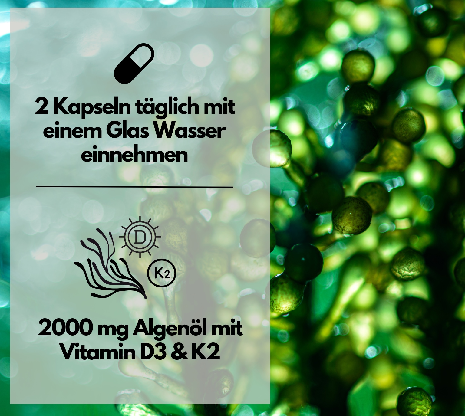 EXVital&reg; Omega 3 + D3 & K2 Kapseln aus Algen&ouml;l, hochdosiert & vegan, 120 Kapseln 
