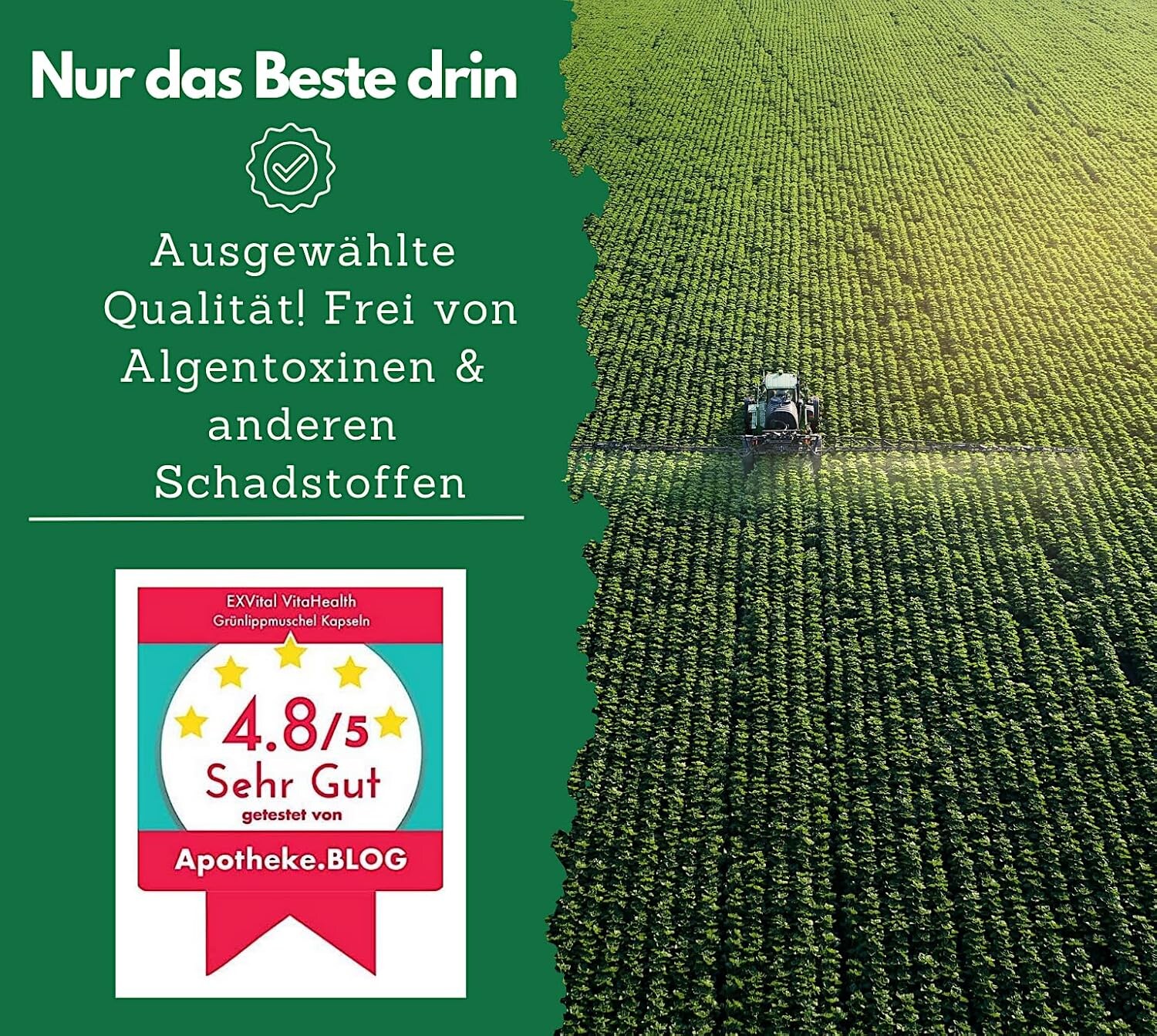 ® Grünlippmuschel Kapseln, hochdosiert, 300 Kapseln