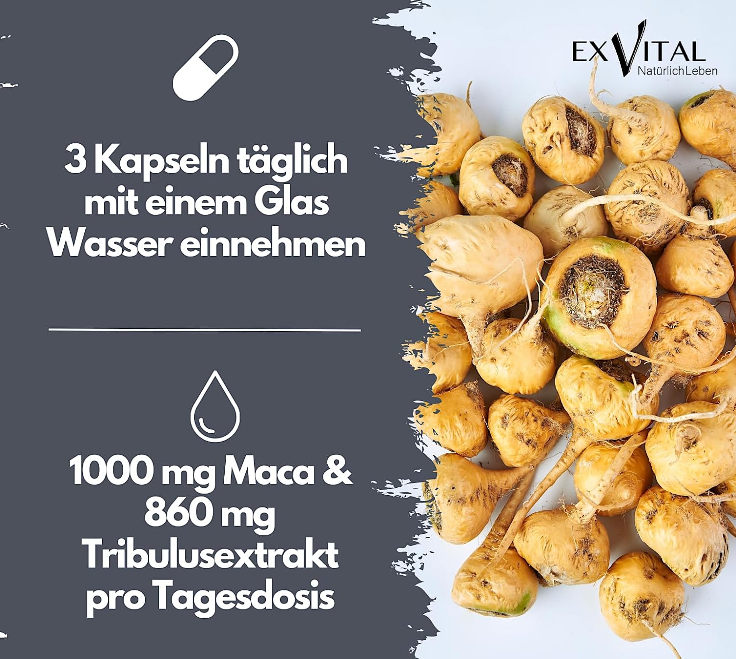 EXVital&reg; Maca 1000 Plus Tribulus, 90 Kapseln 