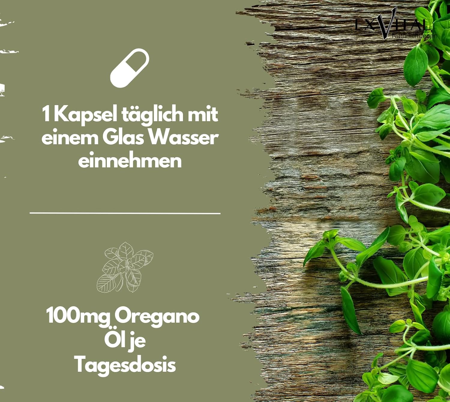 EXVital&reg; Bio Oregano &Ouml;l Kapseln, 60 Kapseln 