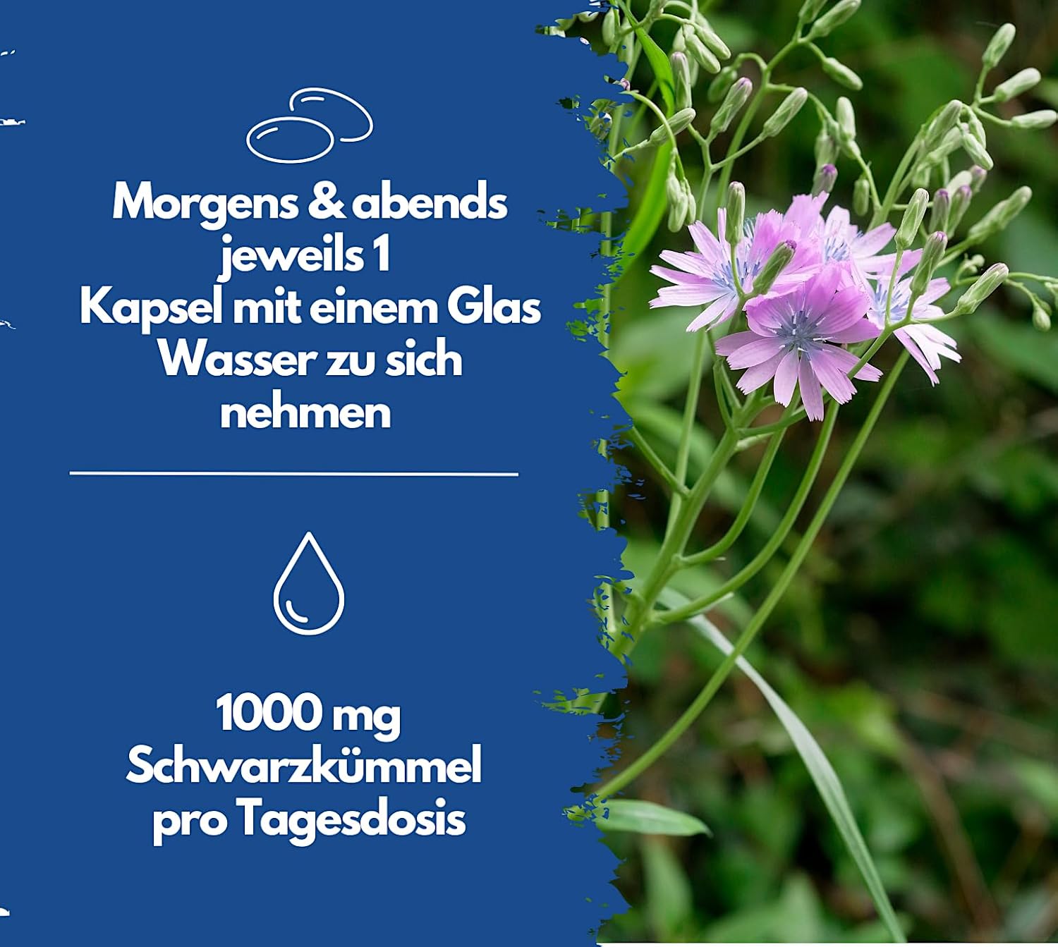 EXVital&reg; Schwarzk&uuml;mmel&ouml;l Kapseln, 400 Kapseln 